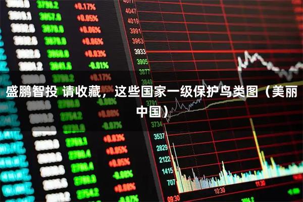 盛鹏智投 请收藏，这些国家一级保护鸟类图（美丽中国）