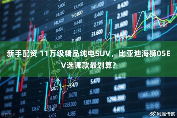 新手配资 11万级精品纯电SUV，比亚迪海狮05EV选哪款最划算?